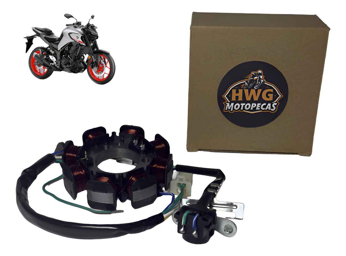 Estator Completo Cg 125 Titan Es/ks / Fan 125  Hwg Motos