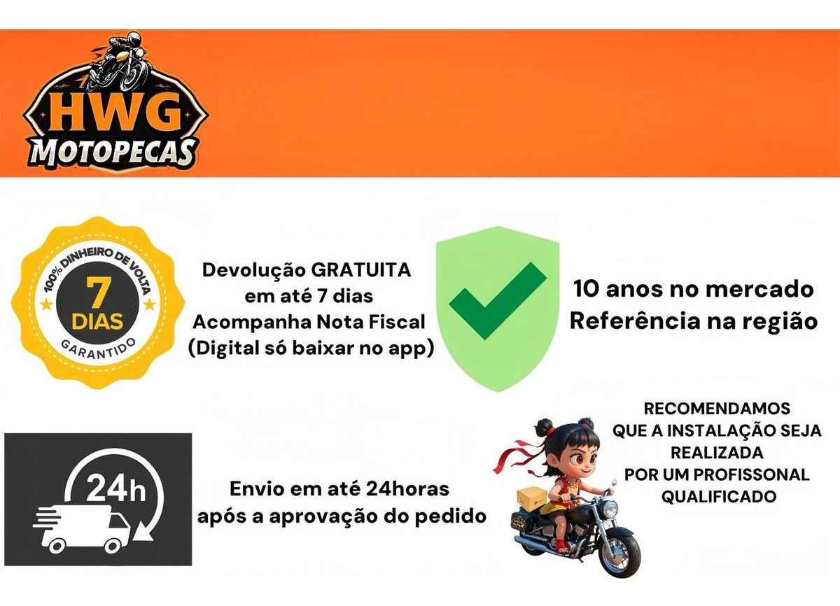 Estator Completo Honda Biz 125 Es Ks 2009 2010 Hwg Motos