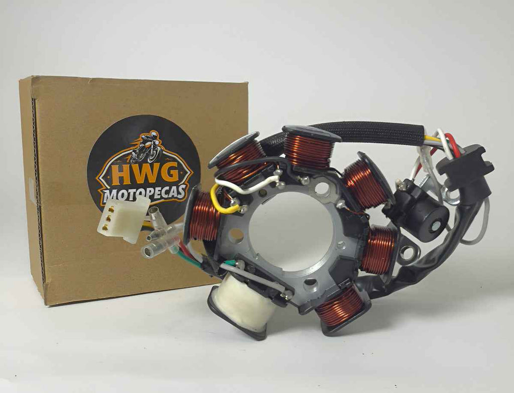 Estator Completo Dafra Zig 100 2010 A 2012 Hwg Motos