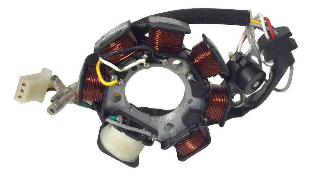 Estator Completo Dafra Zig 100 2010 A 2012 Hwg Motos