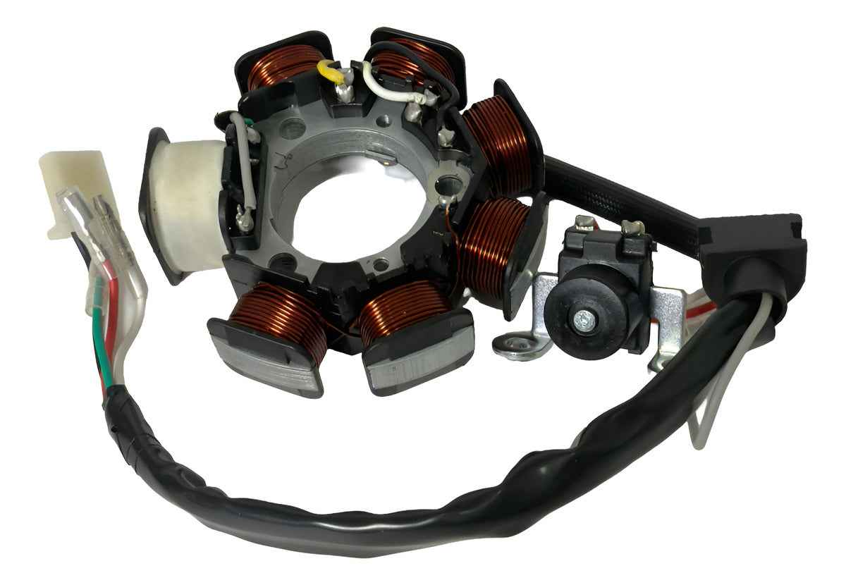 Estator Completo Dafra Zig 100 2010 A 2012 Hwg Motos