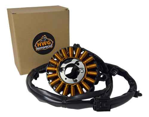 Estator Completo Honda Pcx 160 2021 A 2024 Hwg Motos